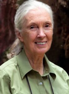 Ve věku 91 let zemřela ekoložka Jane Goodallová