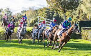 Velkou Pardubickou vyhrál Irský žokej Michael Donoghue se Stupmtownem